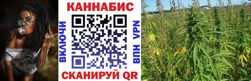 Как найти наркотики Новосокольники Alpha PVP МЕТАДОН ГАШ Меф мяу мяу