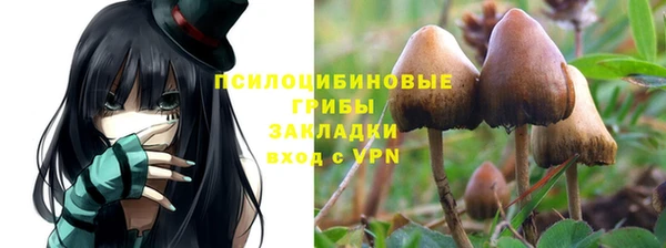 индика Рославль