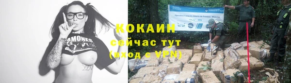 не бодяженный Бородино