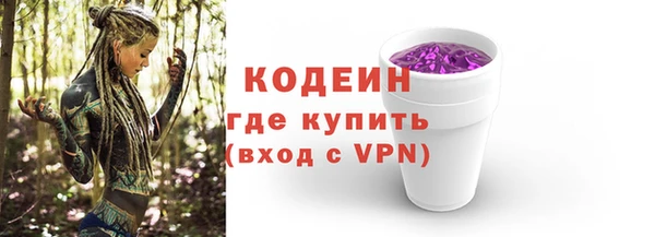 стаф Ростов