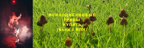стаф Ростов