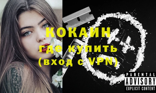 не бодяженный Бородино