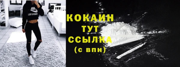 крисы Бугульма