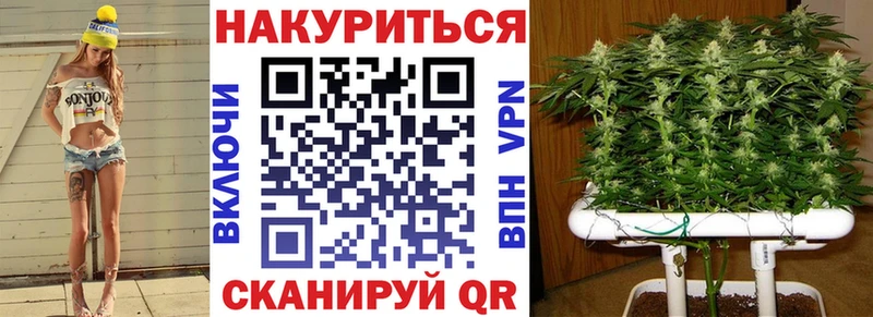 где купить наркоту  Новосокольники  Конопля Ganja 